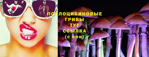 сатива Верхний Тагил
