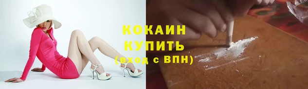 дурь Володарск